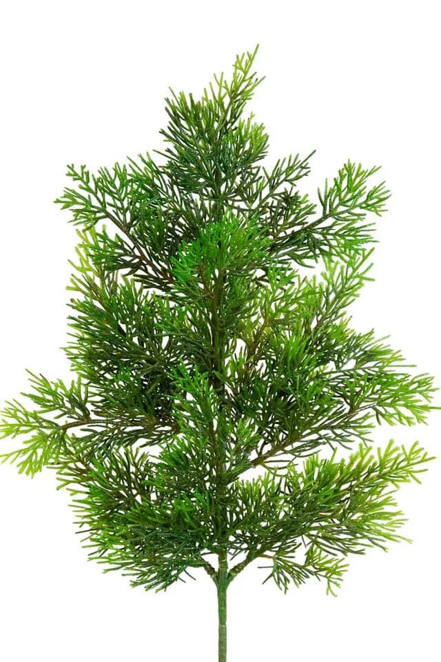 Kunstzweig Zedernzweig Nature ZJ Kunststoff 100% PE Spritzguss künstliche Zeder, Seidenblumen Roß
