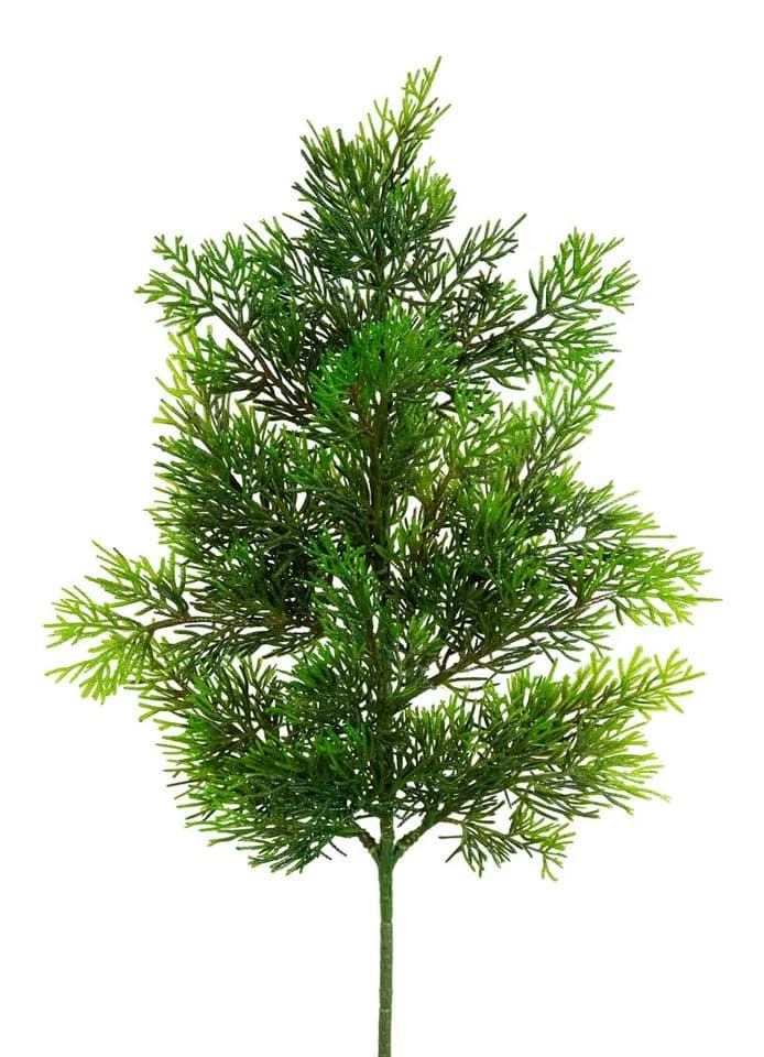 Kunstzweig Zedernzweig Nature ZJ Kunststoff 100% PE Spritzguss künstliche Zeder, Seidenblumen Roß - Bild 2