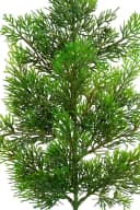 Kunstzweig Zedernzweig Nature ZJ Kunststoff 100% PE Spritzguss künstliche Zeder, Seidenblumen Roß Bild 5