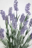 Kunstblume Lavendelbusch 54cm mit Topf - Seidenblumen Roß Bild 1