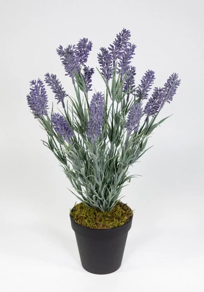 Kunstblume Lavendelbusch 54cm mit Topf - Seidenblumen Roß - Bild 2