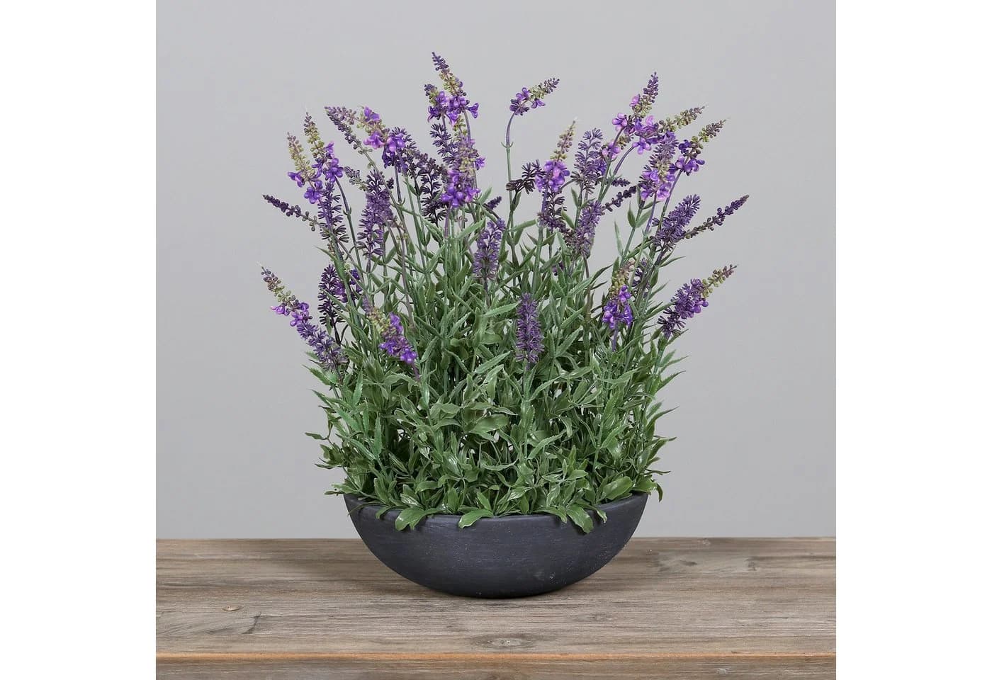Kunstblume Lavendel in runder Dekoschale 48x42cm Seidenblumen Roß - Bild 2