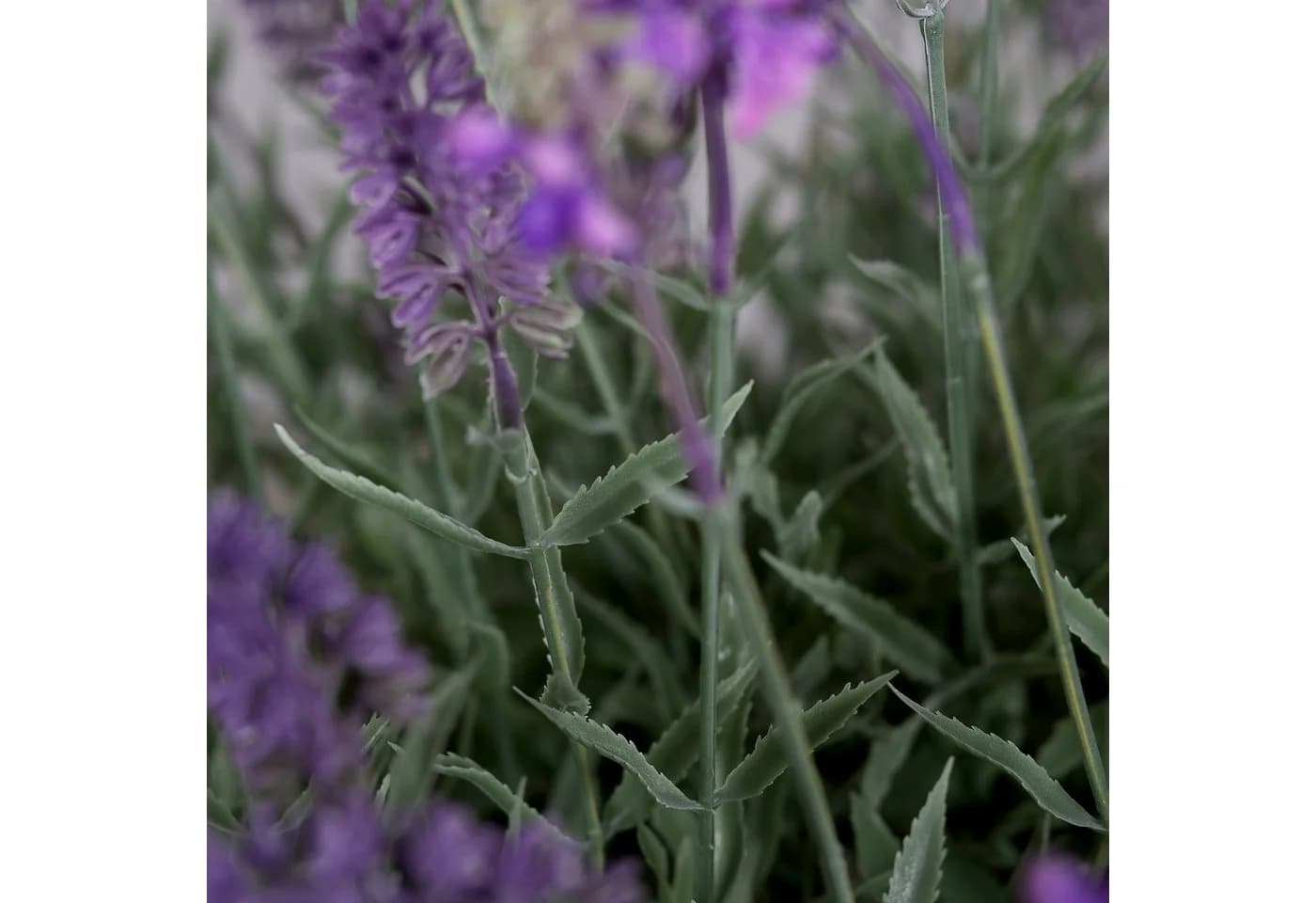 Kunstblume Lavendel in runder Dekoschale 48x42cm Seidenblumen Roß - Bild 3