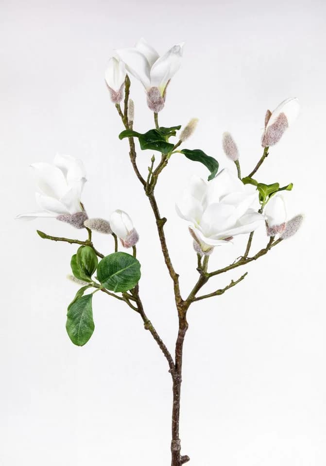 Kunstblume Magnolienzweig 98cm weiß Seidenblumen Roß - Bild 2