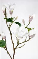 Kunstblume Magnolienzweig 98cm weiß Seidenblumen Roß Bild 3