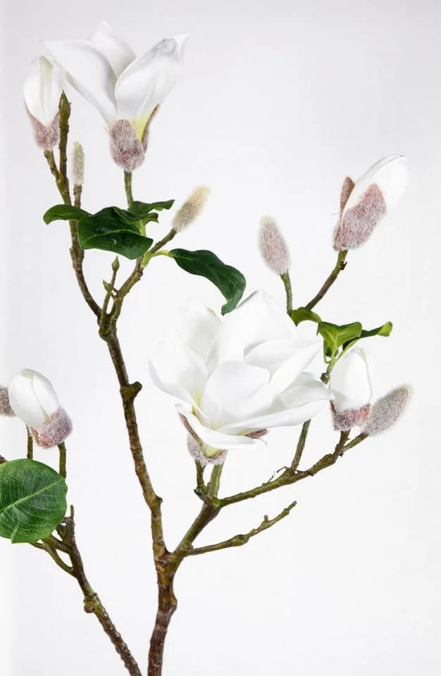 Kunstblume Magnolienzweig 98cm weiß Seidenblumen Roß - Bild 3