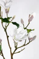 Kunstblume Magnolienzweig 98cm weiß Seidenblumen Roß Bild 4