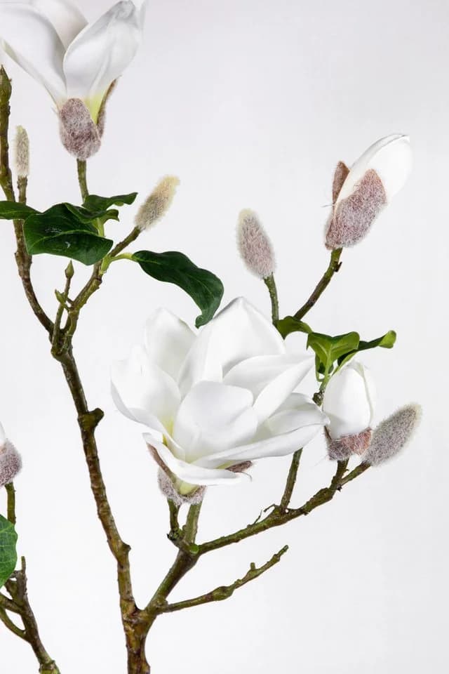 Kunstblume Magnolienzweig 98cm weiß Seidenblumen Roß - Bild 4