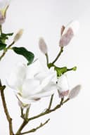 Kunstblume Magnolienzweig 98cm weiß Seidenblumen Roß Bild 5