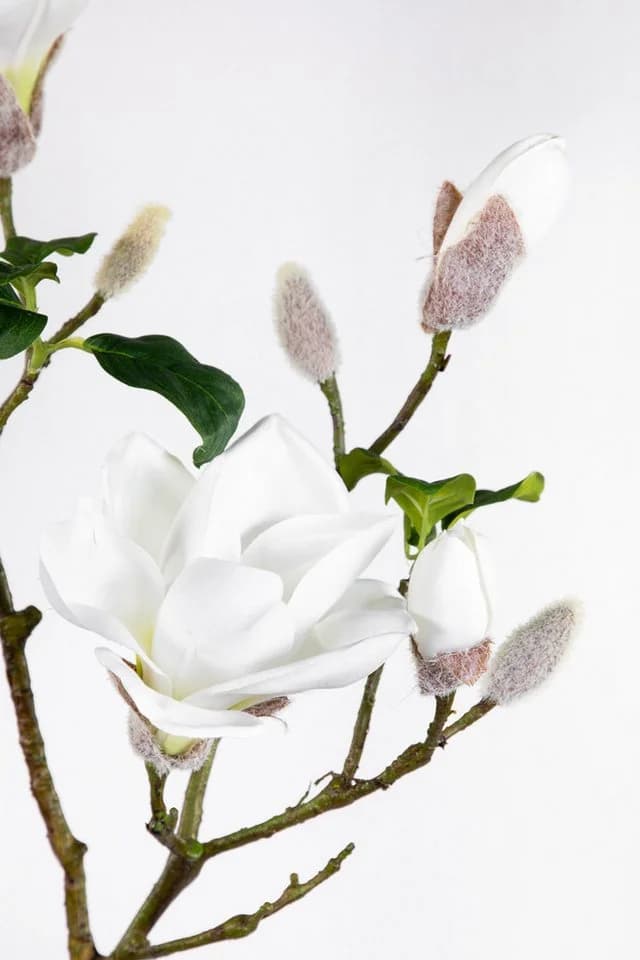 Kunstblume Magnolienzweig 98cm weiß Seidenblumen Roß - Bild 5