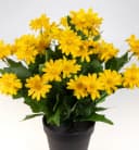 Seidenblumen Roß Kunstblume Margeritenbusch Gelb im Topf Bild 4