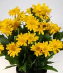 Seidenblumen Roß Kunstblume Margeritenbusch Gelb im Topf Bild 5