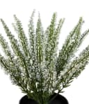 Seidenblumen Roß Kunstblume Erika Weiß im Topf Bild 3