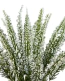 Seidenblumen Roß Kunstblume Erika Weiß im Topf Bild 4