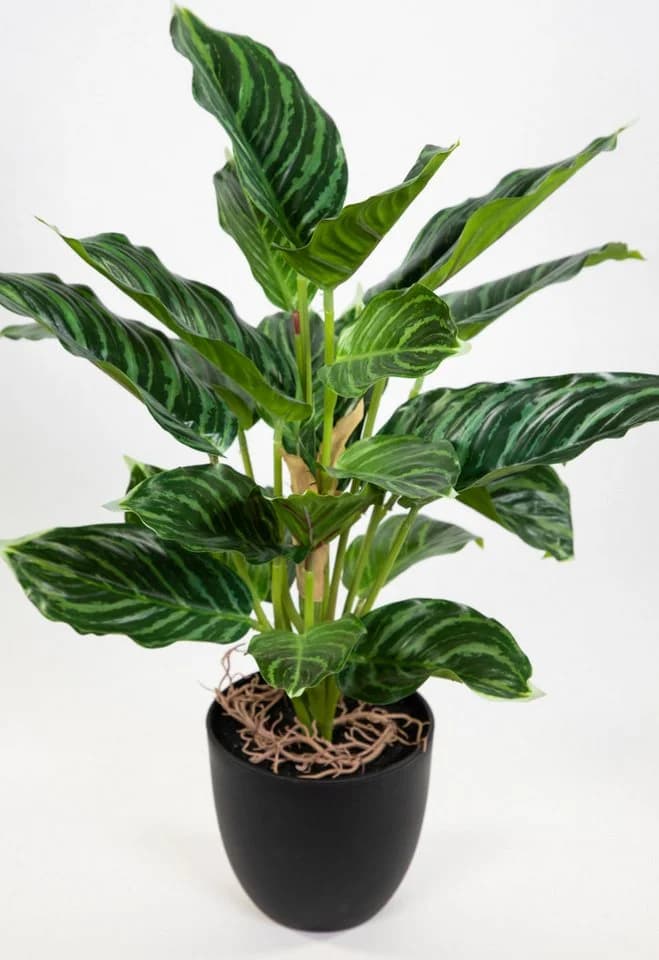 Kunstpflanze Calathea Grün-Hellgrün mit Topf Real-Touch