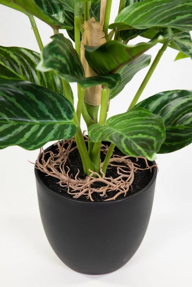 Kunstpflanze Calathea Grün-Hellgrün mit Topf Real-Touch - Bild 5