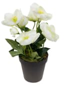 Seidenblumen Roß Kunstblume Christrosenbusch Weiß im Topf Bild 1