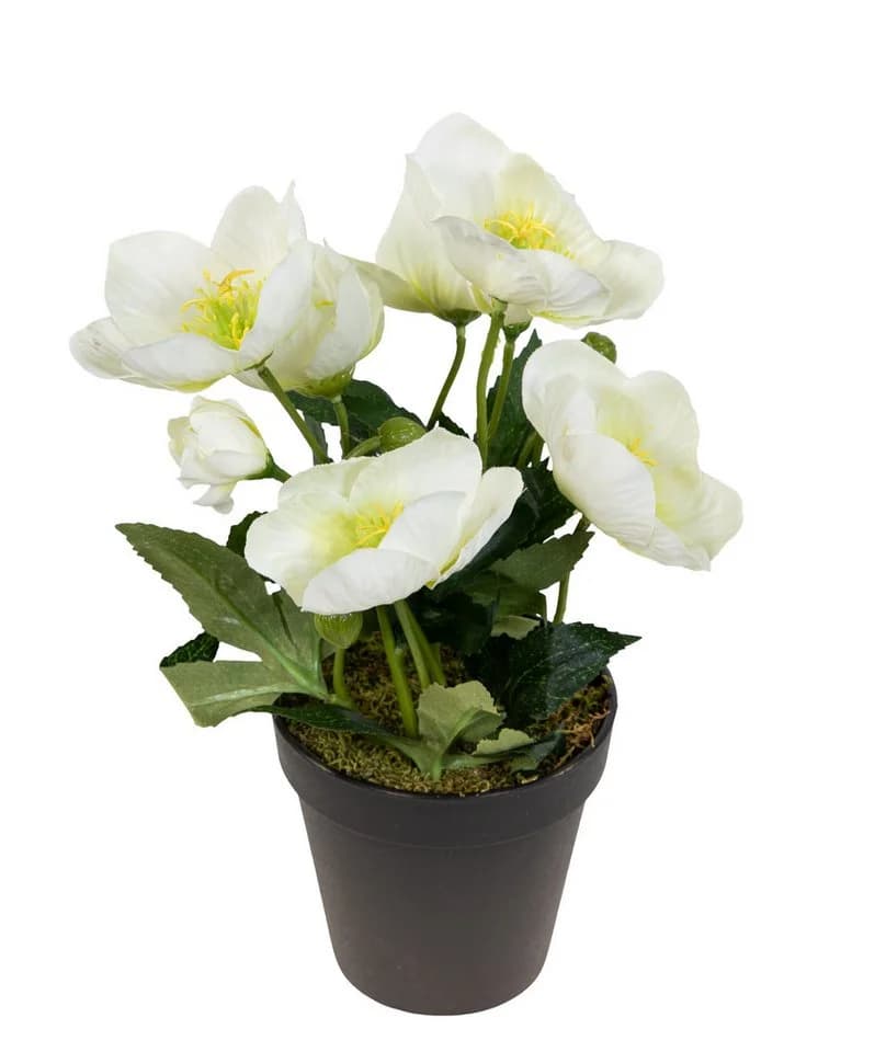 Seidenblumen Roß Kunstblume Christrosenbusch Weiß im Topf - Bild 2