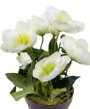 Seidenblumen Roß Kunstblume Christrosenbusch Weiß im Topf Bild 3