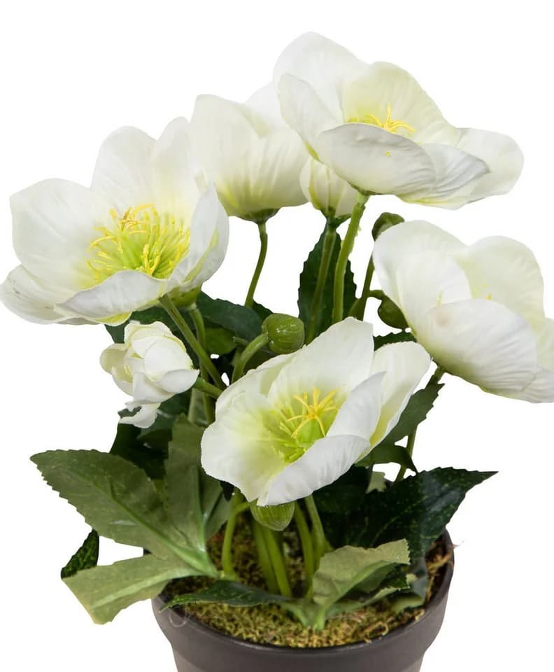 Seidenblumen Roß Kunstblume Christrosenbusch Weiß im Topf - Bild 3