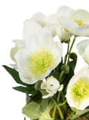 Seidenblumen Roß Kunstblume Christrosenbusch Weiß im Topf Bild 4