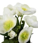 Seidenblumen Roß Kunstblume Christrosenbusch Weiß im Topf Bild 5