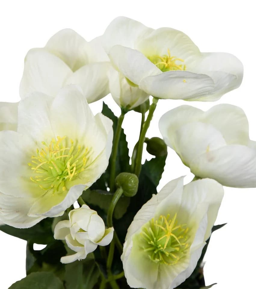 Seidenblumen Roß Kunstblume Christrosenbusch Weiß im Topf - Bild 5