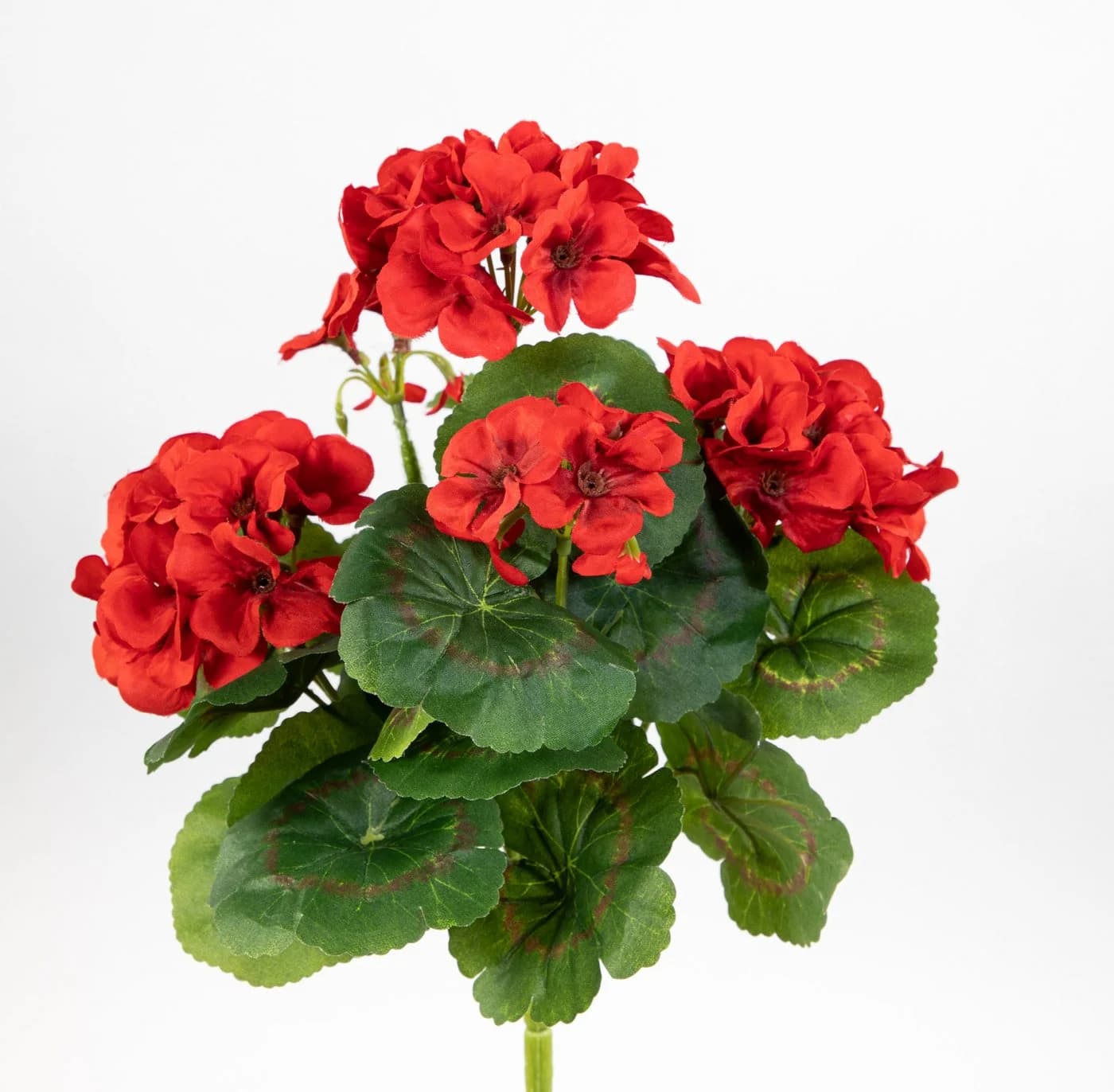 Kunstblume Geranie 32cm LM Kunstpflanzen künstliche Blumen Pflanzen Pelargonium, Seidenblumen Roß - Bild 2