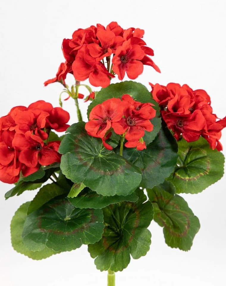 Kunstblume Geranie 32cm LM Kunstpflanzen künstliche Blumen Pflanzen Pelargonium, Seidenblumen Roß - Bild 3