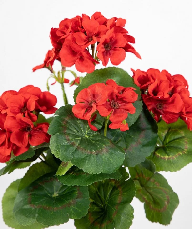 Kunstblume Geranie 32cm LM Kunstpflanzen künstliche Blumen Pflanzen Pelargonium, Seidenblumen Roß - Bild 4
