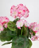 Kunstblume Geranie 32cm Rosa - 5 Blütenköpfe Bild 3
