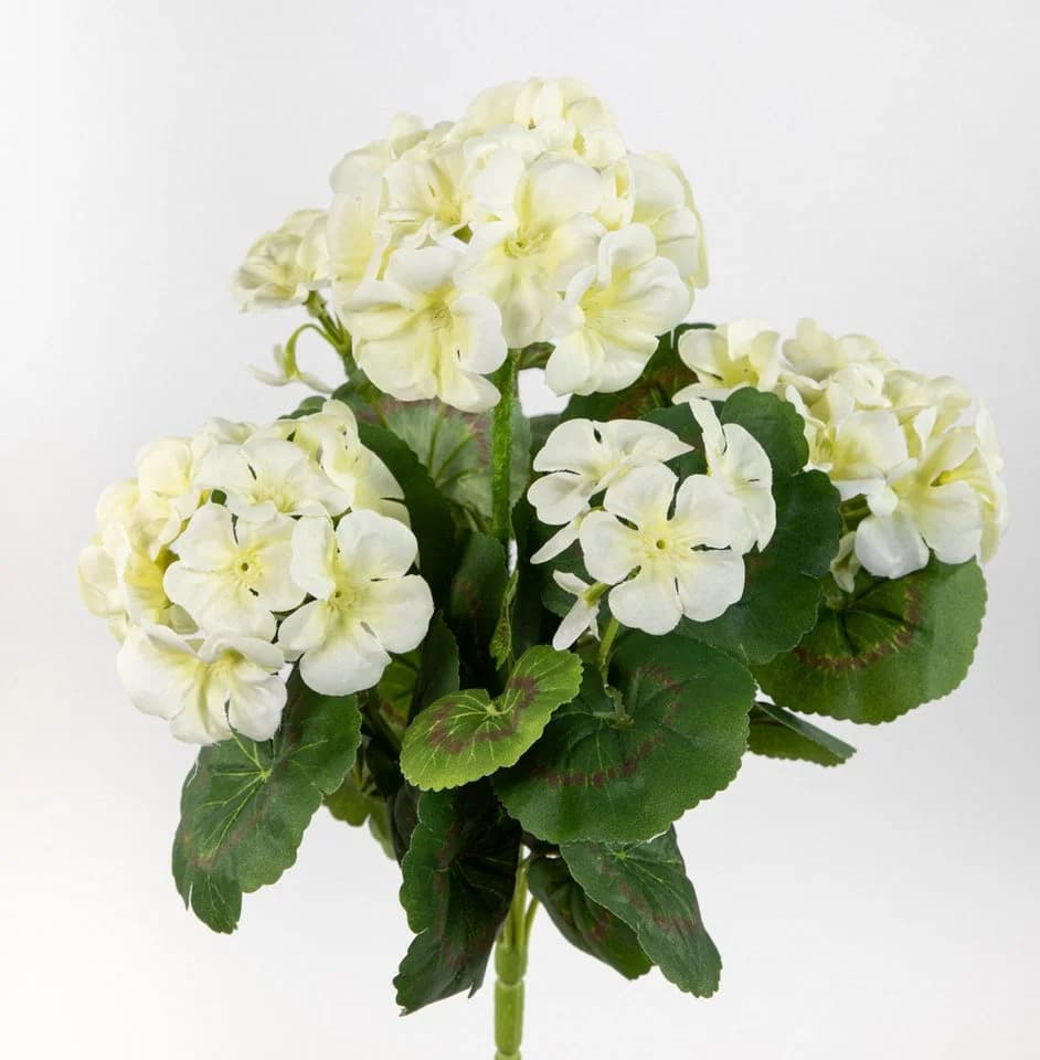 Seidenblumen Roß Kunstblume Geranie Weiß 32cm - Bild 2