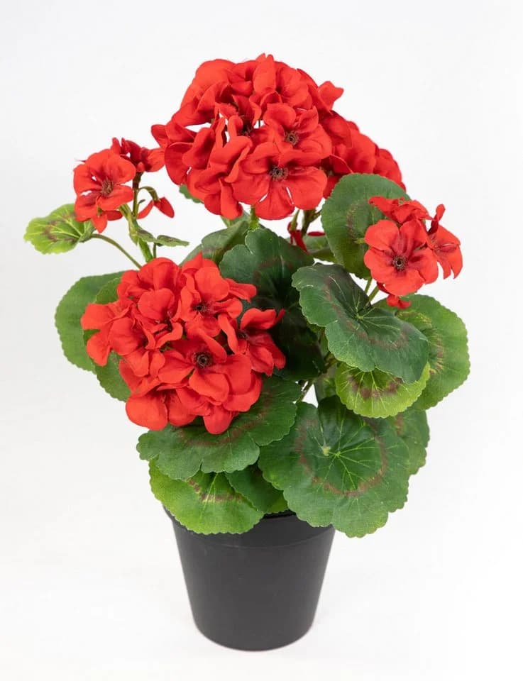 Seidenblumen Roß Kunstblume Geranie Rot 34cm mit Topf