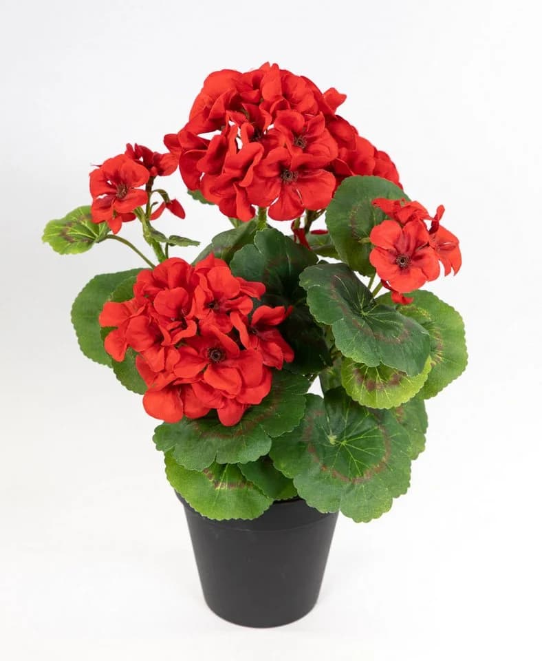 Seidenblumen Roß Kunstblume Geranie Rot 34cm mit Topf - Bild 2