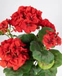 Seidenblumen Roß Kunstblume Geranie Rot 34cm mit Topf Bild 3