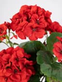 Seidenblumen Roß Kunstblume Geranie Rot 34cm mit Topf Bild 4