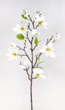 Kunstblume Magnolienzweig 82cm Weiß Seidenblumen Roß Bild 2