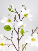 Kunstblume Magnolienzweig 82cm Weiß Seidenblumen Roß Bild 3