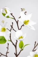 Kunstblume Magnolienzweig 82cm Weiß Seidenblumen Roß Bild 4