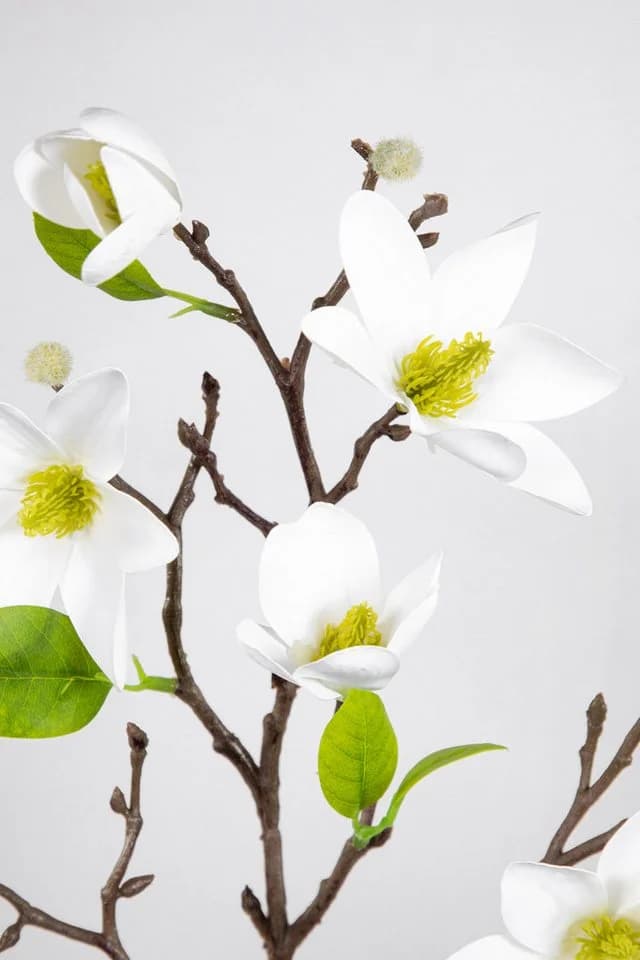 Kunstblume Magnolienzweig 82cm Weiß Seidenblumen Roß - Bild 4
