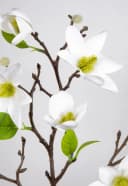 Kunstblume Magnolienzweig 82cm Weiß Seidenblumen Roß Bild 5