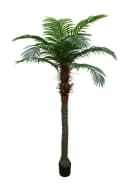 Kunstpalme Phönixpalme 210-230cm Seidenblumen Roß Bild 2