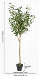 Seidenblumen Roß Kunstbaum Olivenbaum Set 2 Stück Grün 150 cm Bild 1