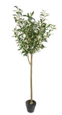 Seidenblumen Roß Kunstbaum Olivenbaum Set 2 Stück Grün 150 cm Bild 3