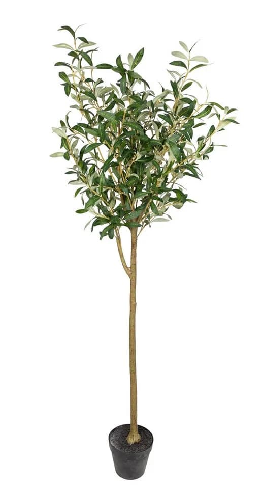 Seidenblumen Roß Kunstbaum Olivenbaum Set 2 Stück Grün 150 cm - Bild 3
