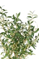 Seidenblumen Roß Kunstbaum Olivenbaum Set 2 Stück Grün 150 cm Bild 5