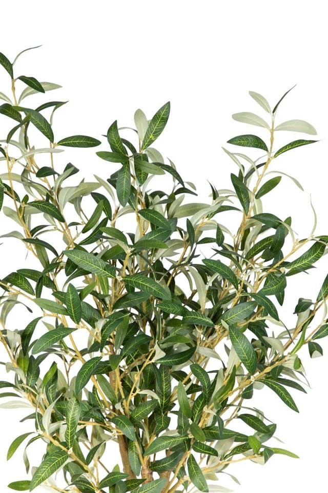 Seidenblumen Roß Kunstbaum Olivenbaum Set 2 Stück Grün 150 cm - Bild 5