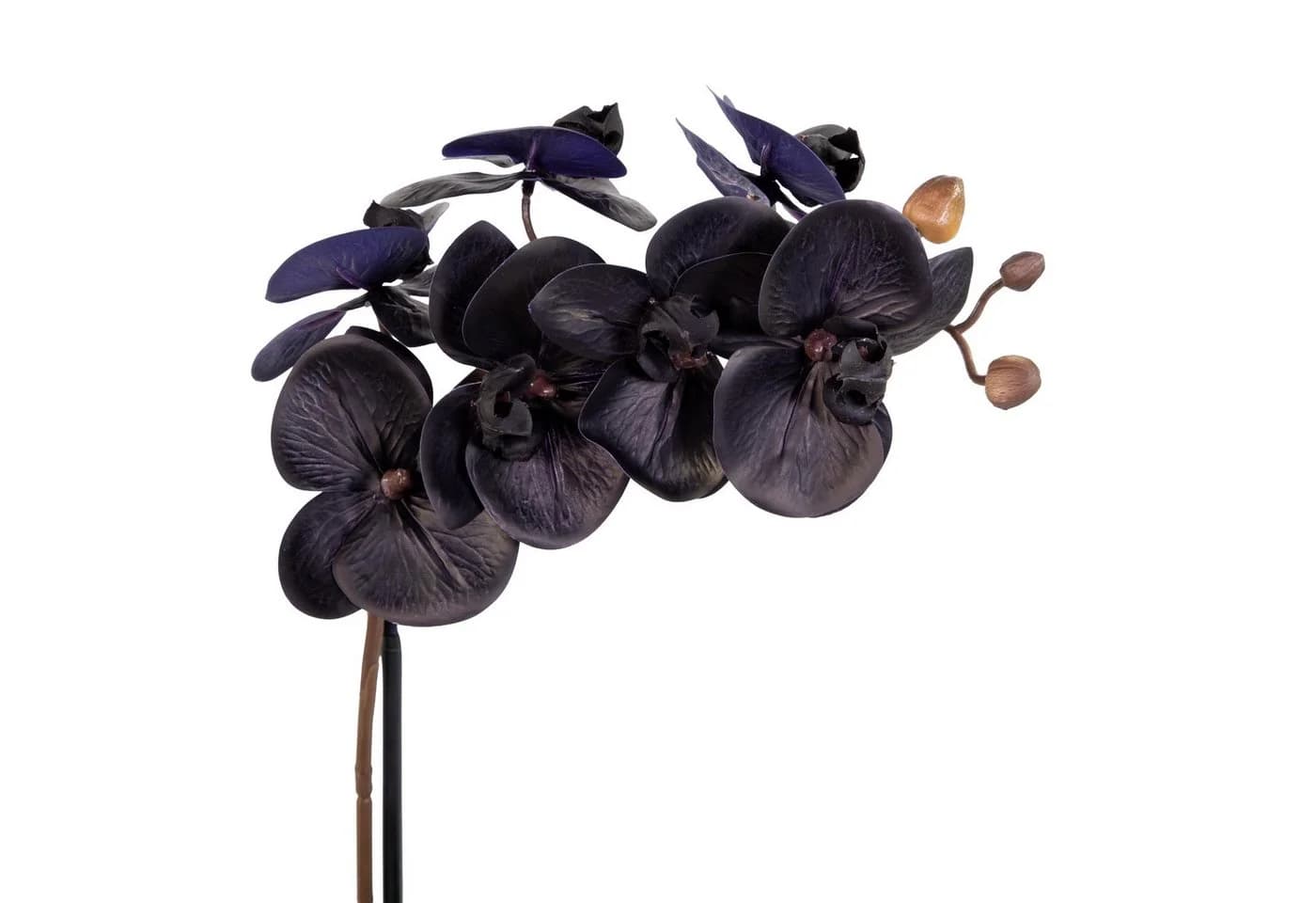 Seidenblumen Roß Kunstblume Orchidee Real Touch 50x20cm schwarz im Topf GA