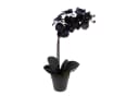Seidenblumen Roß Kunstblume Orchidee Real Touch 50x20cm schwarz im Topf GA Bild 2