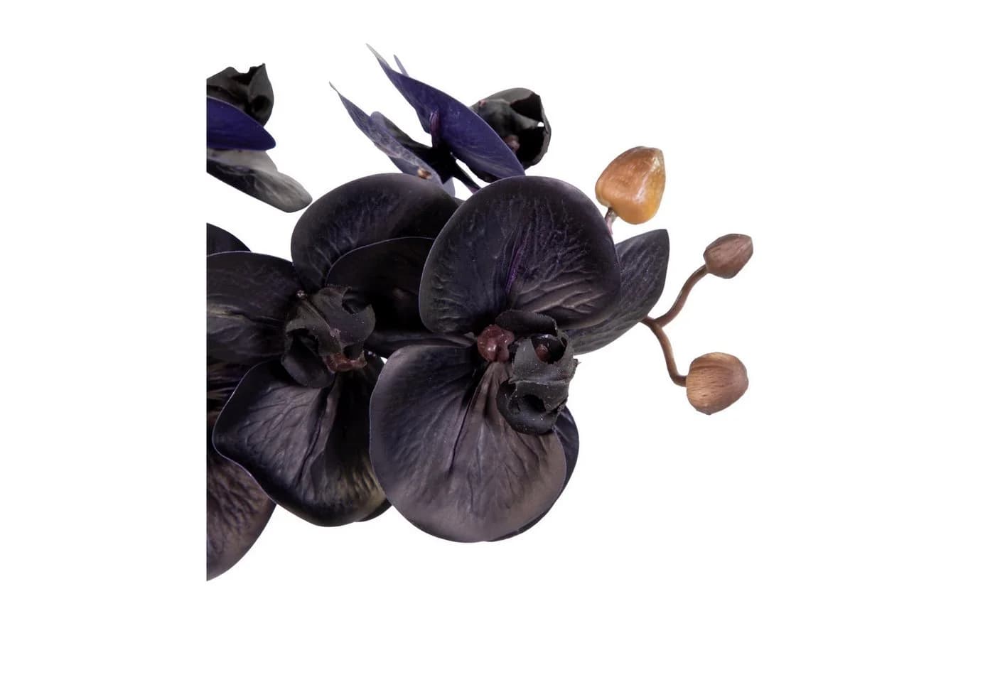 Seidenblumen Roß Kunstblume Orchidee Real Touch 50x20cm schwarz im Topf GA - Bild 3